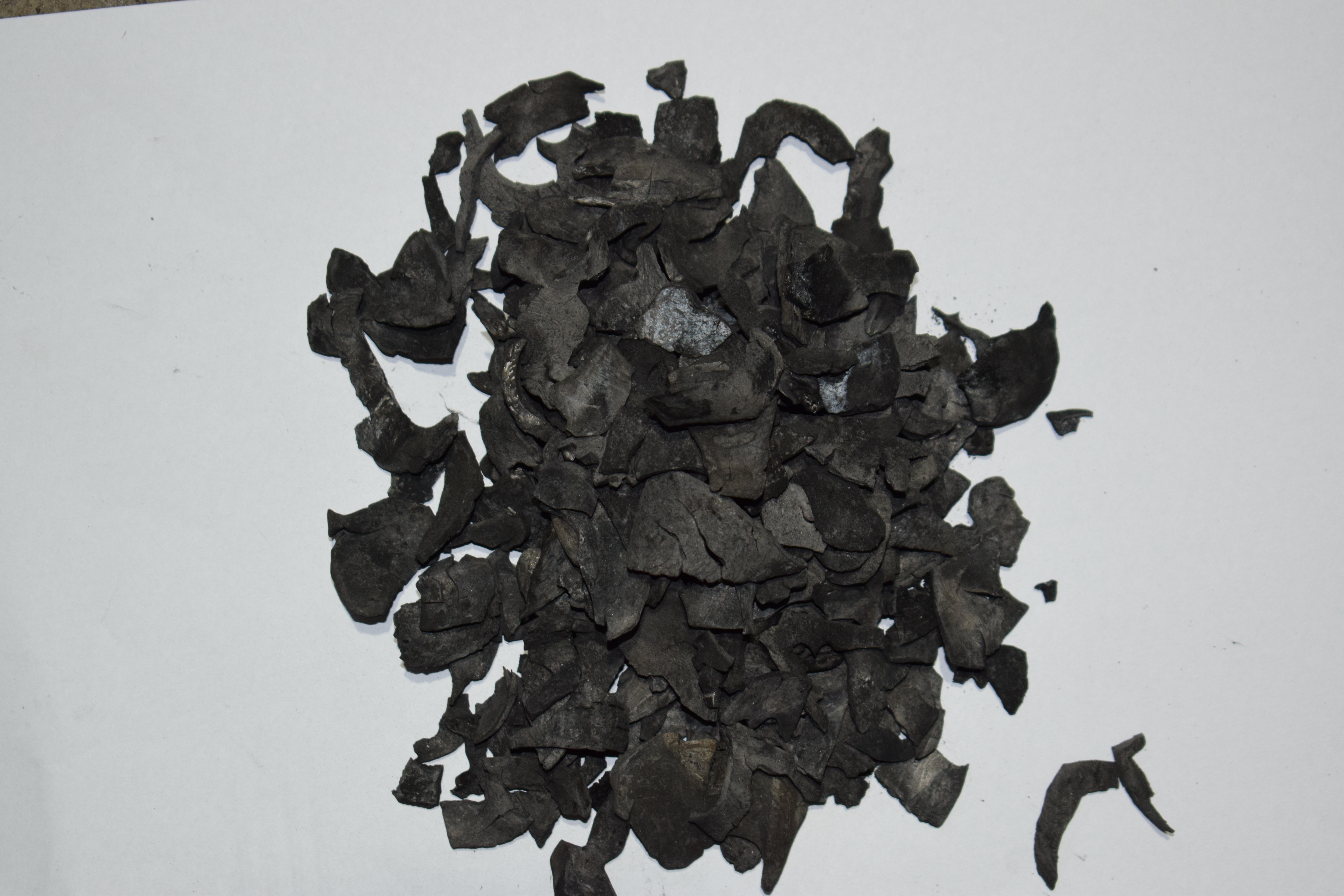Coconut shell biochar